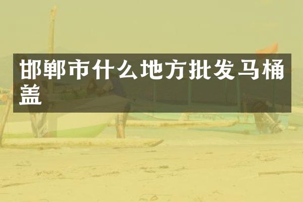 邯郸市什么地方批发马桶盖