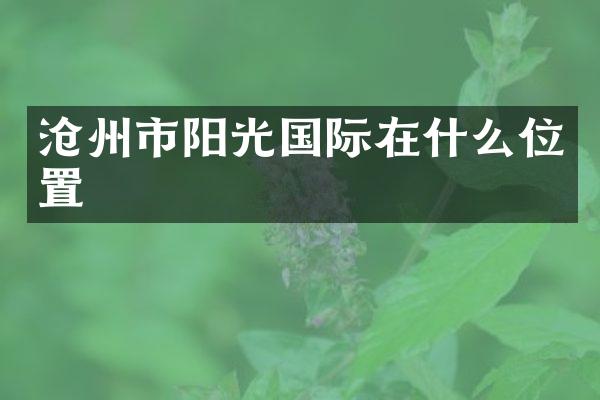 沧州市阳光国际在什么位置