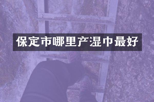 保定市哪里产湿巾最好