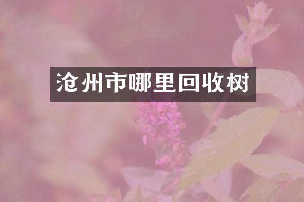 沧州市哪里回收树