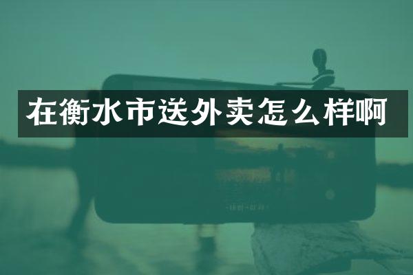 在衡水市送外卖怎么样啊