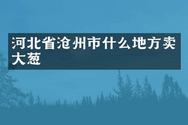 河北省沧州市什么地方卖大葱