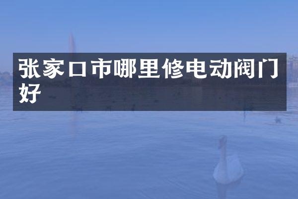 张家口市哪里修电动阀门好
