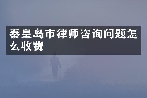 秦皇岛市律师咨询问题怎么收费