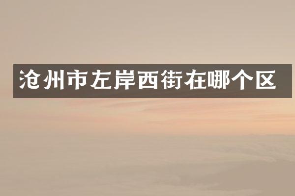 沧州市左岸西街在哪个区