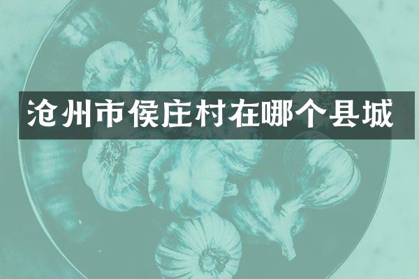 沧州市侯庄村在哪个县城