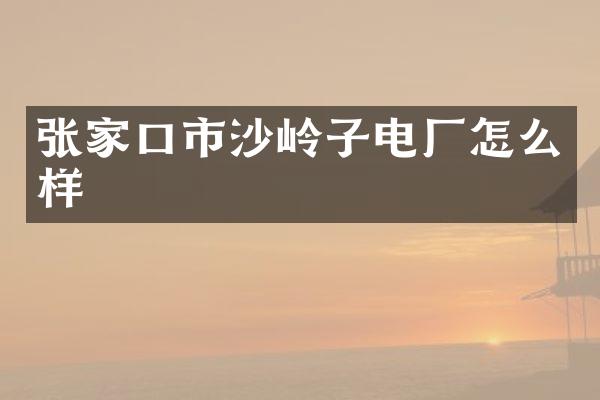 张家口市沙岭子电厂怎么样