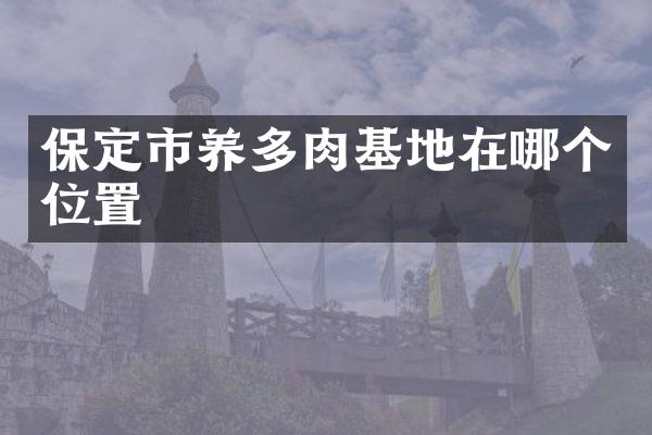 保定市养多肉基地在哪个位置