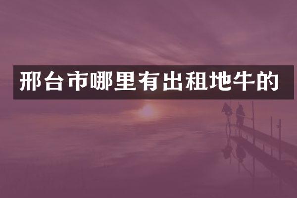 邢台市哪里有出租地牛的