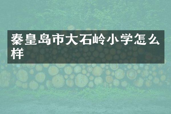 秦皇岛市大石岭小学怎么样