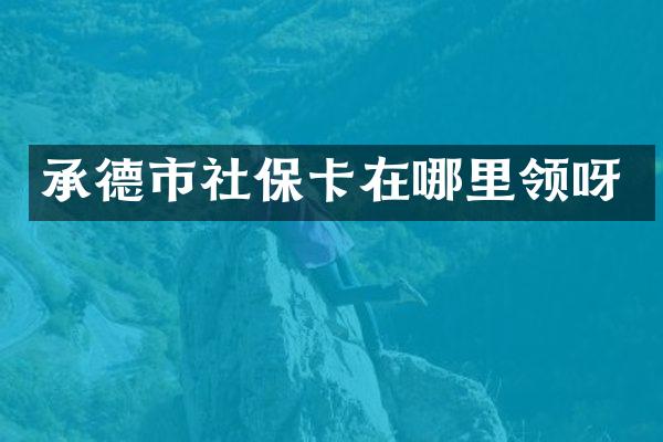 承德市社保卡在哪里领呀