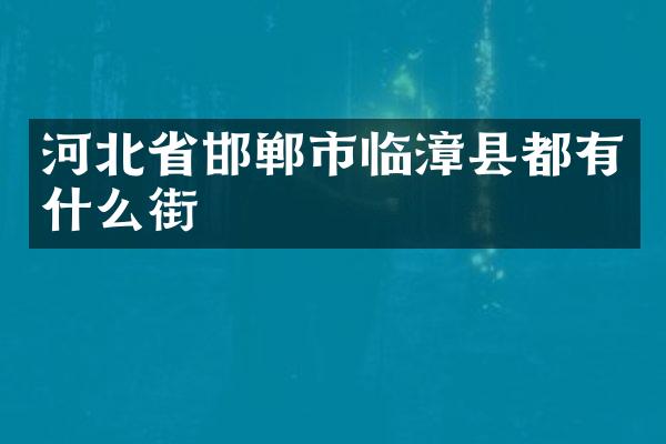 河北省邯郸市临漳县都有什么街