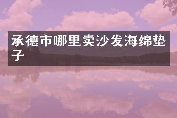 承德市哪里卖沙发海绵垫子
