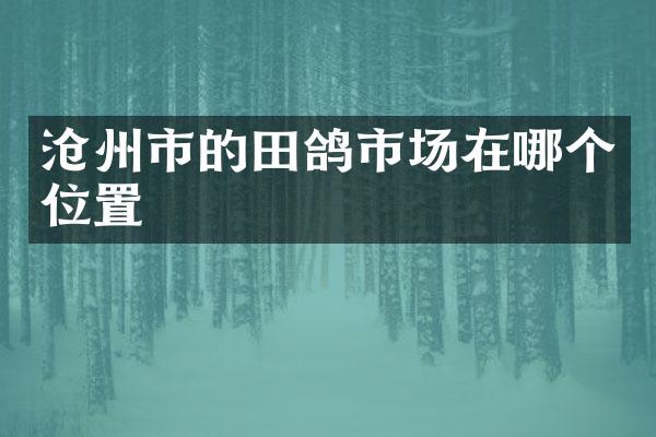 沧州市的田鸽市场在哪个位置