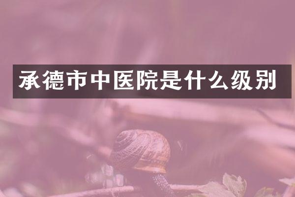 承德市中医院是什么级别