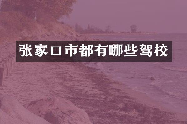 张家口市都有哪些驾校