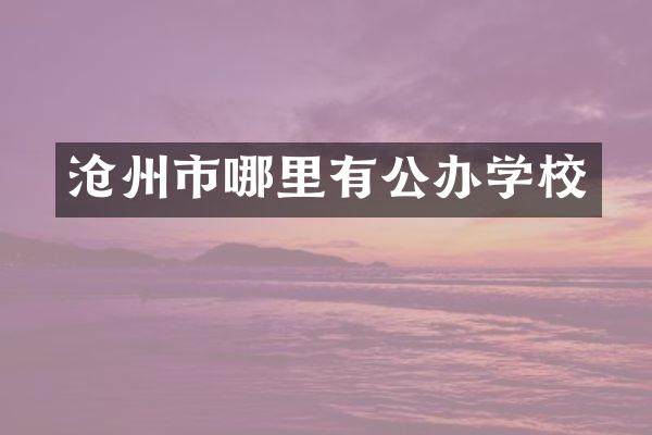 沧州市哪里有公办学校
