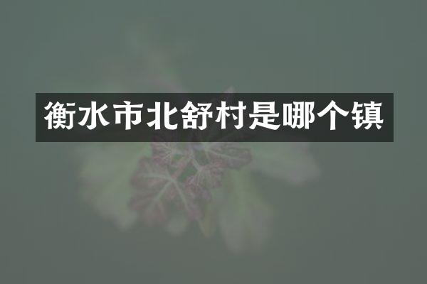衡水市北舒村是哪个镇