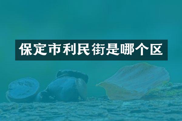 保定市利民街是哪个区