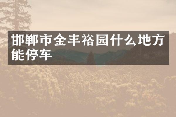 邯郸市金丰裕园什么地方能停车