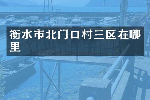 衡水市北门口村三区在哪里