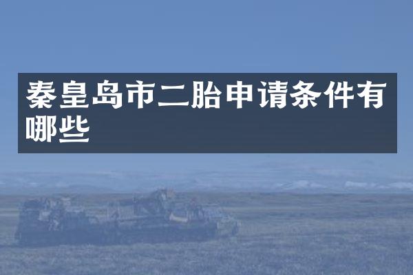 秦皇岛市二胎申请条件有哪些