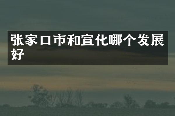 张家口市和宣化哪个发展好