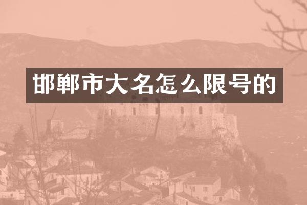 邯郸市大名怎么限号的