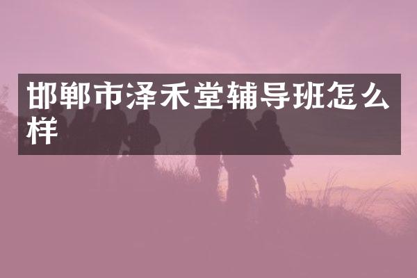 邯郸市泽禾堂辅导班怎么样