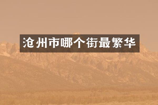 沧州市哪个街最繁华