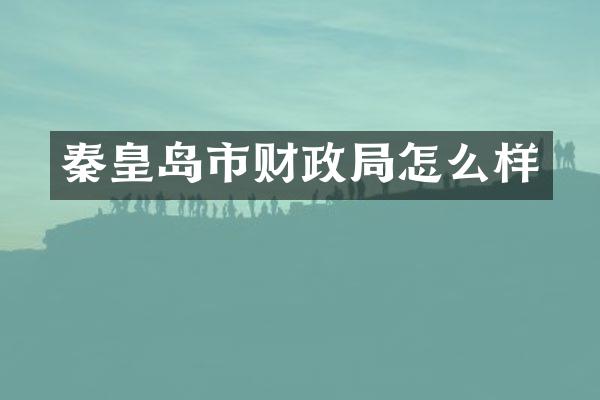 秦皇岛市财政局怎么样