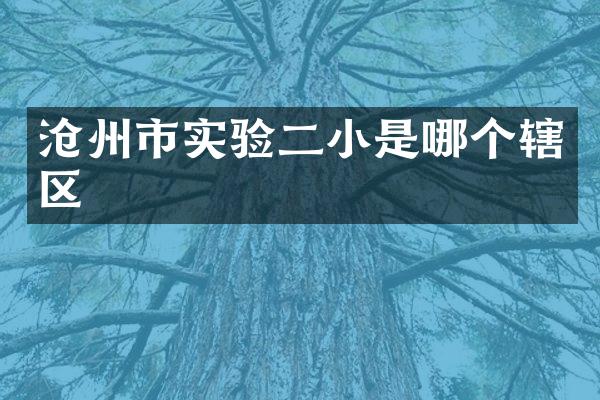 沧州市实验二小是哪个辖区