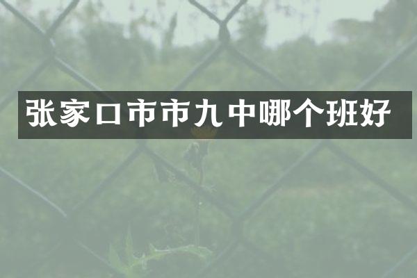 张家口市市九中哪个班好