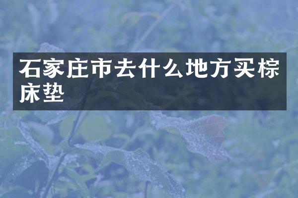 石家庄市去什么地方买棕床垫