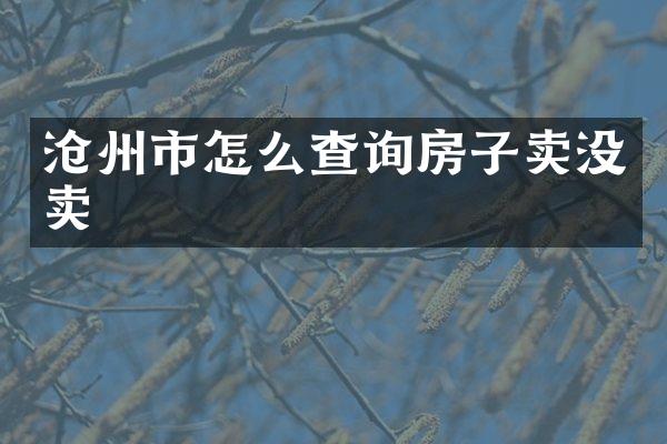 沧州市怎么查询房子卖没卖