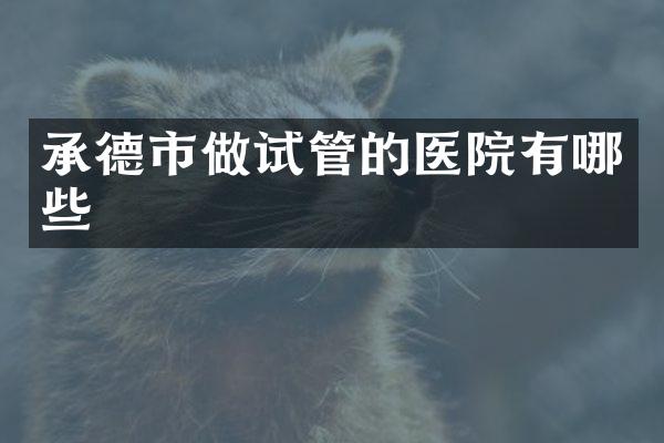 承德市做试管的医院有哪些