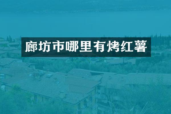廊坊市哪里有烤红薯