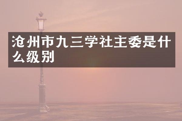 沧州市九三学社主委是什么级别