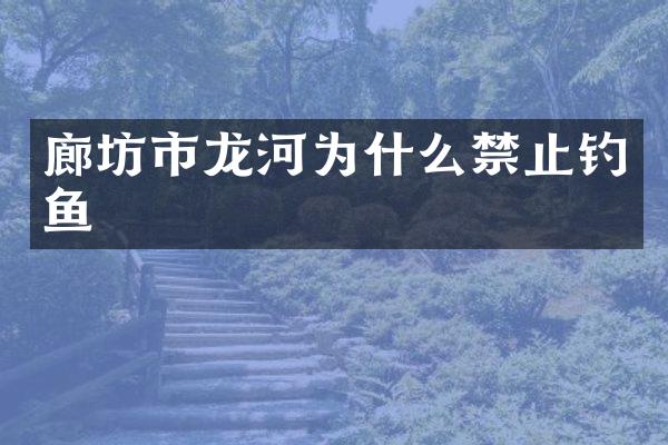 廊坊市龙河为什么禁止钓鱼