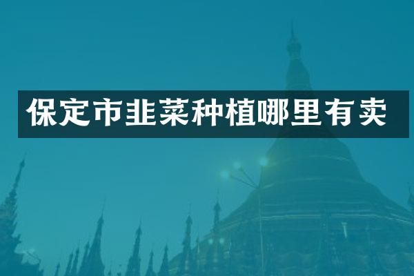 保定市韭菜种植哪里有卖