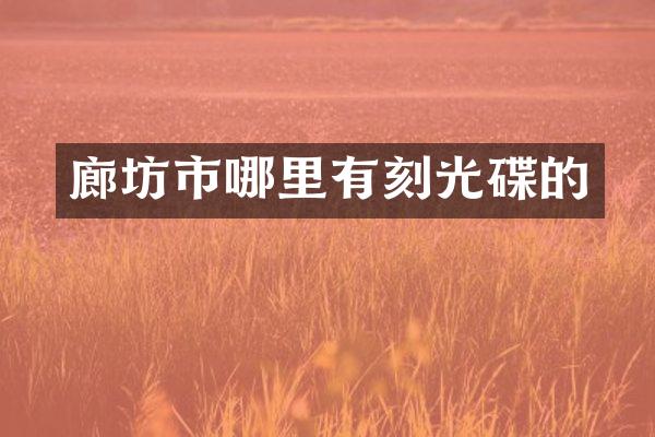 廊坊市哪里有刻光碟的