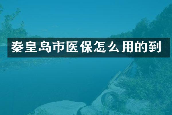 秦皇岛市医保怎么用的到