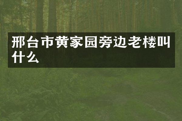 邢台市黄家园旁边老楼叫什么