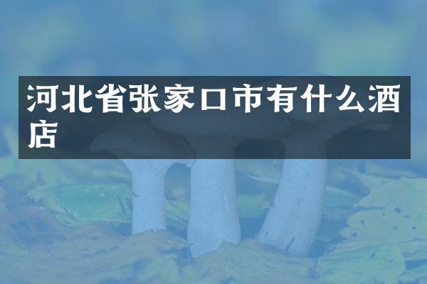 河北省张家口市有什么酒店
