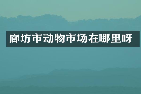 廊坊市动物市场在哪里呀