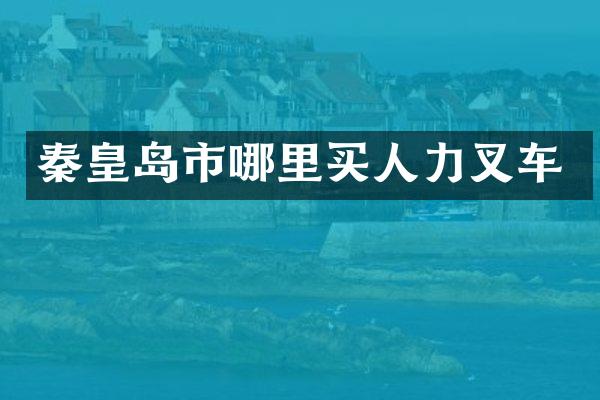 秦皇岛市哪里买人力叉车