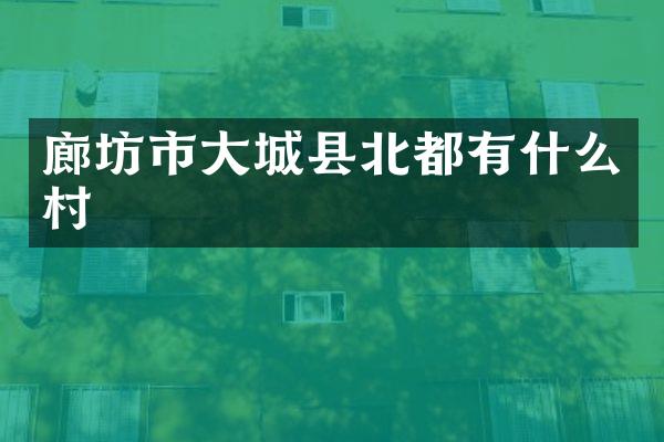 廊坊市大城县北都有什么村