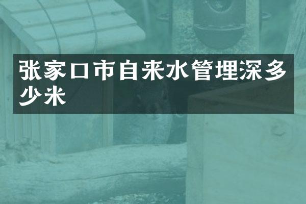 张家口市自来水管埋深多少米