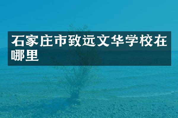 石家庄市致远文华学校在哪里