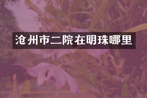 沧州市二院在明珠哪里